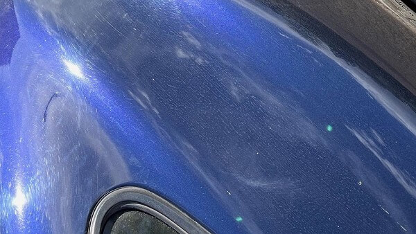 Paint Correction 7B